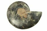 Cut & Polished Ammonite Fossil (Half) - Unusual Black Color #296315-1